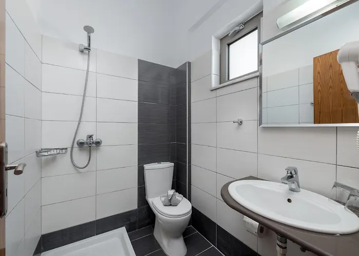 Zanetos * Прасониси