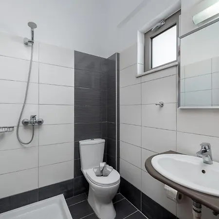 Zanetos * Прасониси